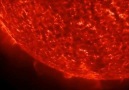 Bilim Akademisi - Güneş&en yakın görüntüsü Facebook
