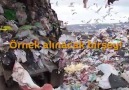 Bilim ve Gerçek - -Dünyanın en iyi ve beleş ısıtma sitemi...