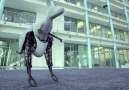 Bionic Learning Network 2014