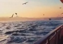BiR AŞK SAYFASI - Anlat Turnam Sinemdeki dertleri... Facebook