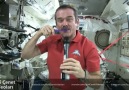 Bir Astronotun GÜNLÜK Yaşantısı - (Yaptığı 15 TUHAF Şey)