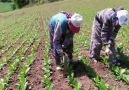 Bir Ay Doğar Akşamdan Geceye - Yörükler Diyarı