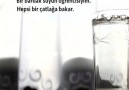 Bir bardak suyun öğrencisiyim.. Hepsi bir çatlağa bakar.