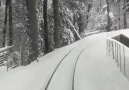 Bir başka güzeldir karda tren yolculuğu...