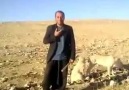 Bir Çoban Bu Kadarmı Harika Şarkı Okur..