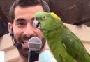 Bird Addicts - Such a smart parrot Facebook