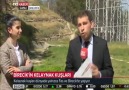 Birecikimizin Sembolü Kelaynak Kuşlarımız TRT Haberde..