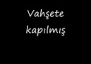 BİRGÜN