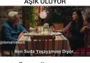 Bir gün bir balık bir kuşa aşık olur..