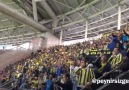 BİR HARİKADIR FENERBAHÇE TARAFTARI ) ANANIN AMI GALATASARAY !