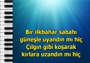 Bir İlk Bahar Sabahı Güneşle Uyandın mı Hiç