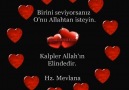 Birini seviyorsanız o&Allah&isteyin. Kalpler Allah&elindedir..