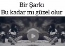 Bir Kara Sevdaki