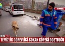 Birlikte mesai yapıyorlar!