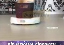 Bir mekana giren Aslan Burcu etrafına bu etkiyi yaratır.