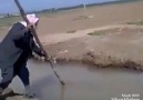 Bir Mühendislik Harikası Amca güzel ölçmüş yani
