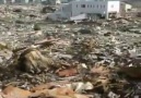 Bir ömür boyu biriktirdiklerimiz bir... - Hanzala İslamoğlu