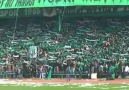 Bir Şarkısın Sen [Kocaelispor-Sakaryaspor] [Tribün Çocukl...