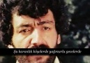 Bir sen misin kaybeden sevipte... - Müslüm Gürses Fanatikleri