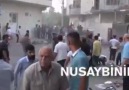 Bir şeyler yazmaya gerek yok..Cennet... - Nusaybin Haber Ajansı