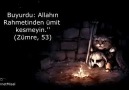 Bir Yeni Hadis-i Şerifiniz Var