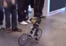 Bisiklet Süren Robot