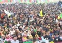 Bismil Newroz