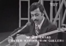 Biter Kırşehir in gülleri (Ölüm yıldönümünde Neşet Babaya saygıyla)