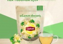 Bitki çayının en lezzetli hali Lipton kalitesiyle içini ısıtsın!