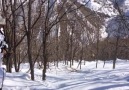 Bitlis Valiliği - Bitlis Jandarma Bölge Komutanlığınca...