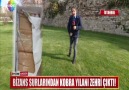 BİZANS SURLARINDA KOBRA YILANI ZEHRİ ÇIKTI!