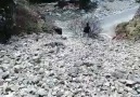 Bizde Gram Akıl Yok..Haldizen VadisiHaldizen Trabzon Turkey