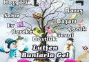 2018 Bize Bunlarla Gel .Gün Işığı.