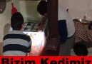 Bizim Kedimiz ile Onların Kedisi