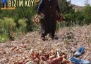 BİZİM KÖY - Bizim Köyü Takip Etmeye devam edin