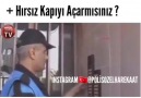 Bizim memleket ayrı yahu...