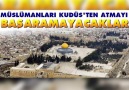 Bizler için&quotSelehaddin&rüyası... - Esat Aydoğan - İlahi Sanatçısı