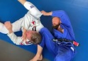 BJJ Insider - Attacking the turtle guard