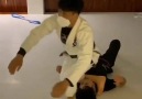 BJJ Insider - Back on the grind with the basic scissor...