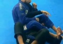 BJJ Insider - Bicep slicer options