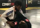 BJJ Insider - Cool shoulder lock from closed guard...