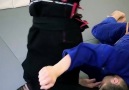 BJJ Insider - Counter to butterfly guard sweep...