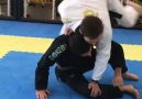 BJJ Insider - Counter to guard pull
