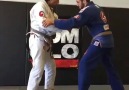 BJJ Insider - Flying armbar--&gtback take &