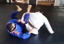 BJJ Insider - Kicking off the week with a strong omoplata...