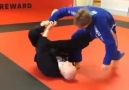 BJJ Insider - Lapel guard attack &