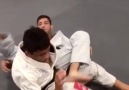 BJJ Insider - Nice omoplata finish Facebook