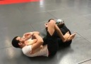 BJJ Insider - Nogi is jiu jitsu too.