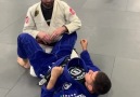 BJJ Insider - This is a great transition to the bicep...