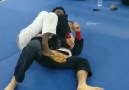 BJJ Insider - This omoplata defense and counter is...